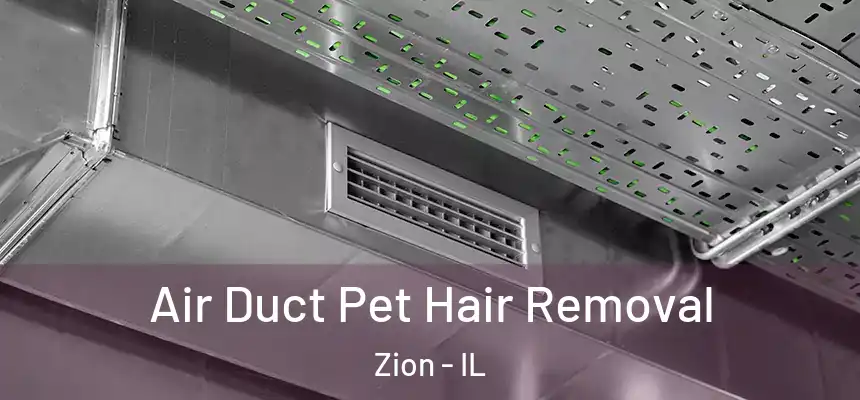 Air Duct Pet Hair Removal Zion - IL