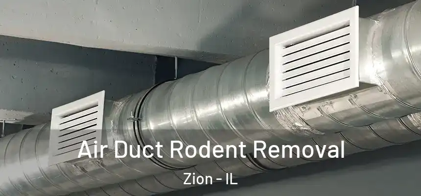 Air Duct Rodent Removal Zion - IL
