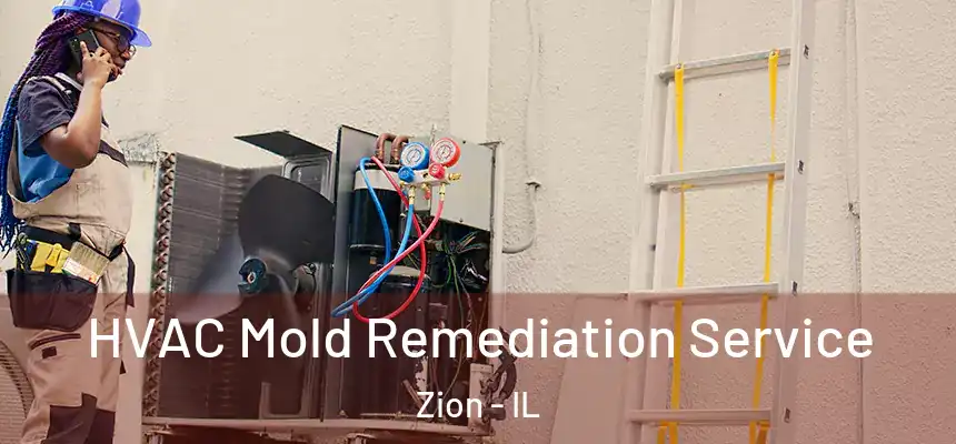  HVAC Mold Remediation Service Zion - IL