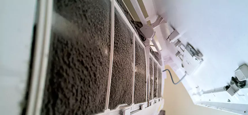 Preventive Air Duct Bacteria Removal in Zion