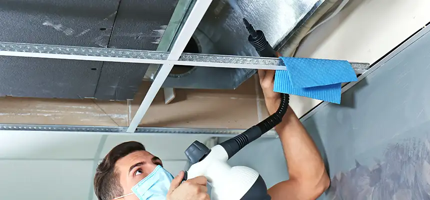 Our Air Duct Rodent Removal Services in Zion, IL