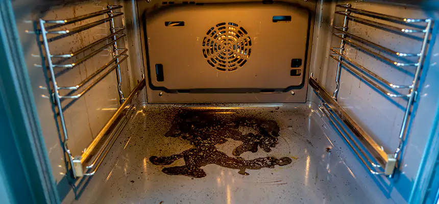 Our Dryer Vent Mold Cleaning Services in Zion, IL