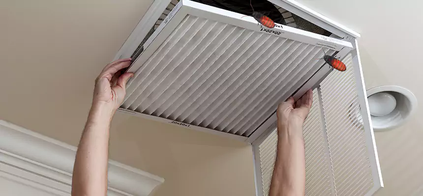 Our Insect Removal from Air Ducts Services in Zion, IL