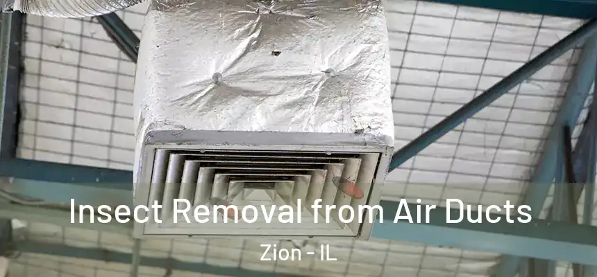  Insect Removal from Air Ducts Zion - IL