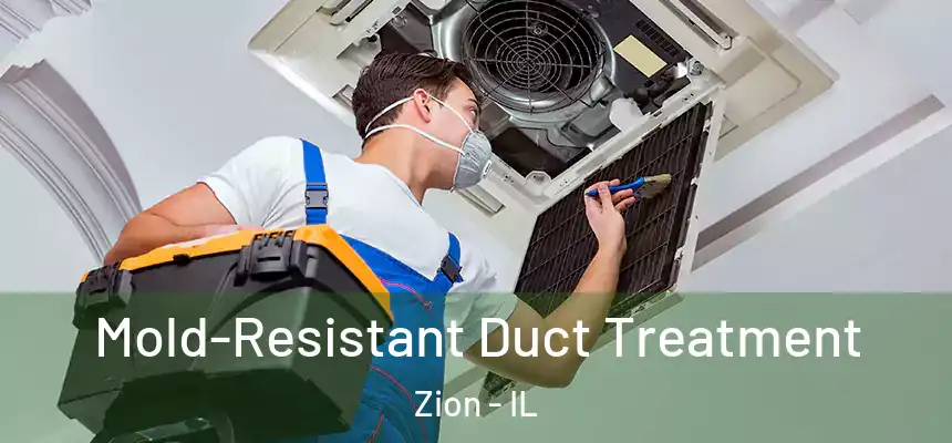 Mold-Resistant Duct Treatment Zion - IL