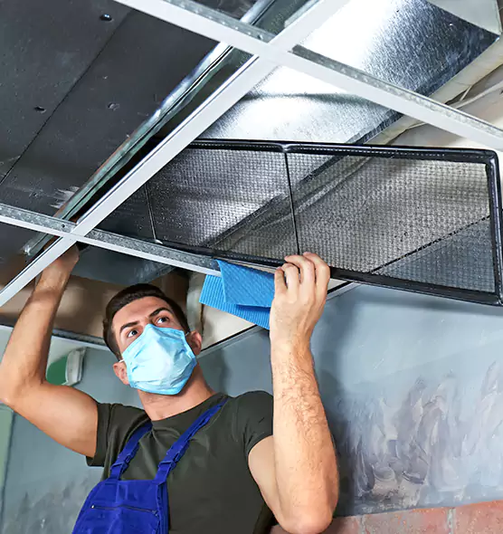 Professional Air Duct Pollen Cleaning in Zion, IL
