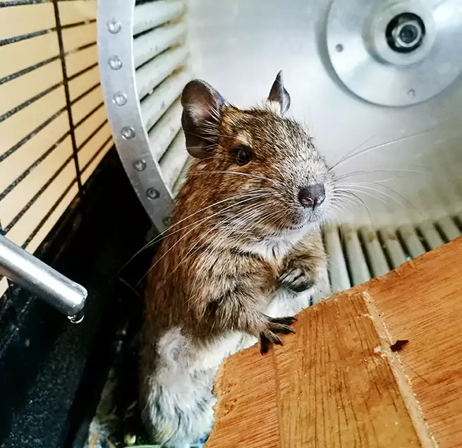 Why Homeowners & Businesses Trust Us Zion, IL?